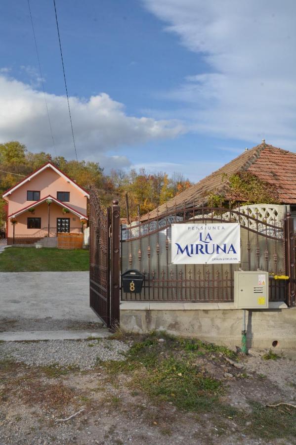 La Miruna Comanesti  Exterior foto